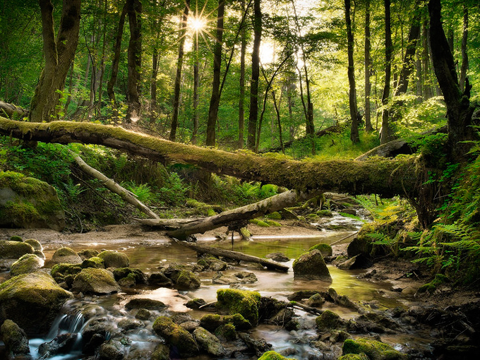 LV_2-Gauja-National-Park Gauja