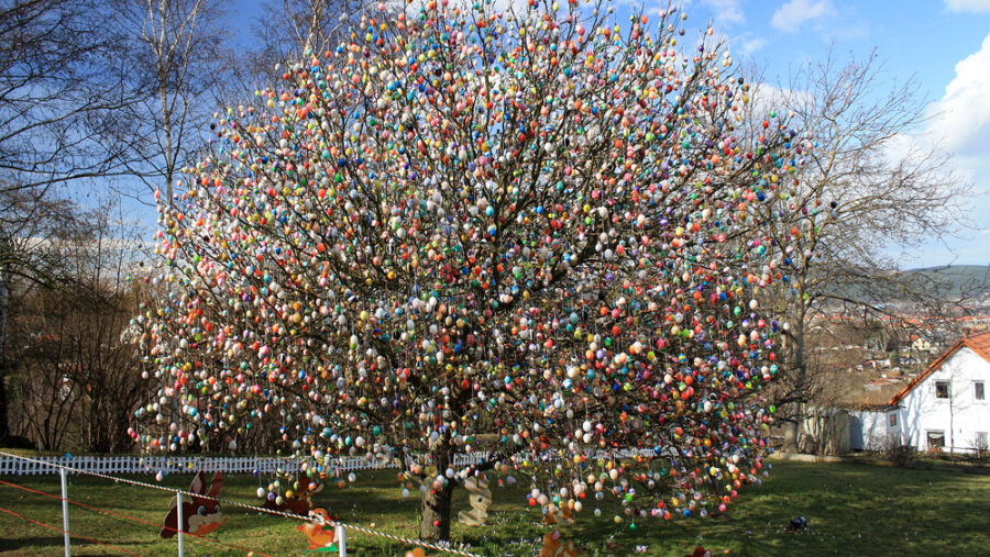 Easter egg tree, Germany